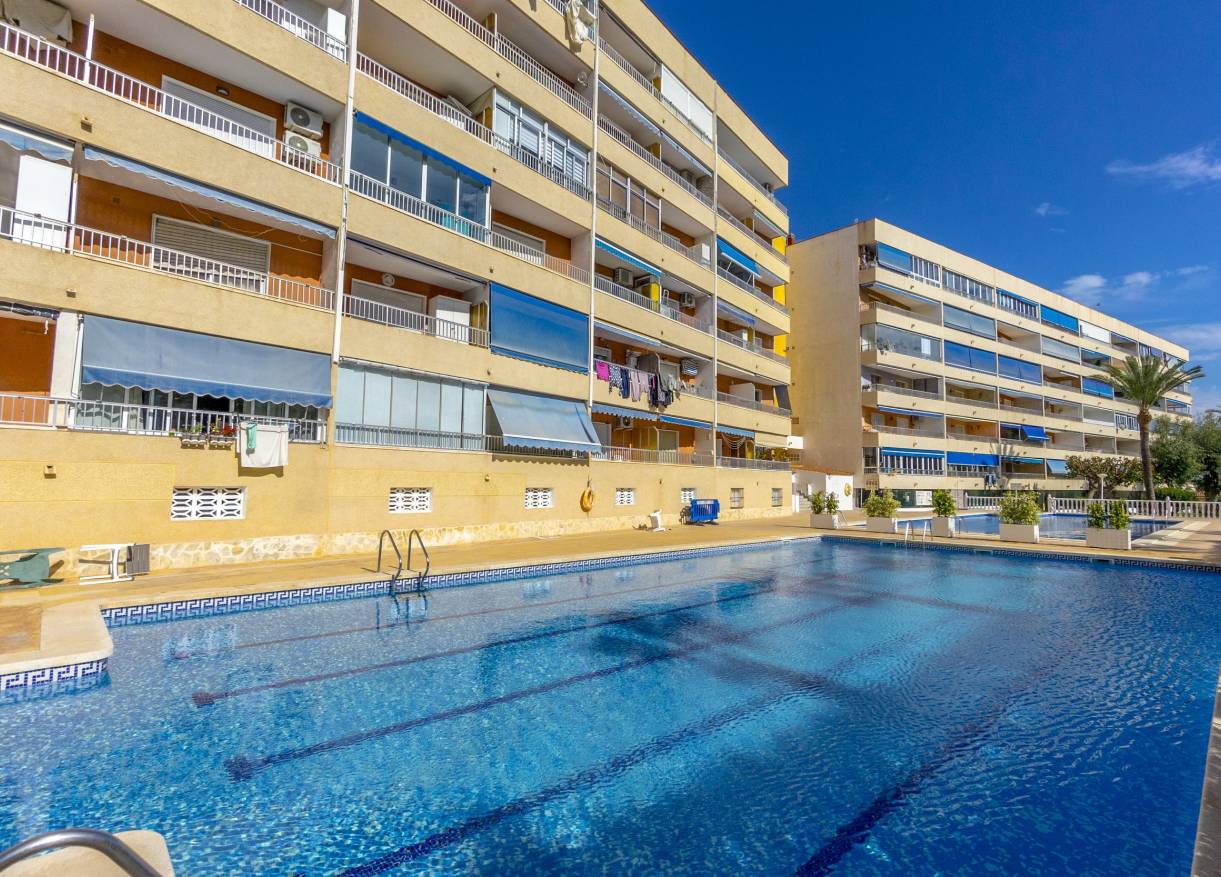 Bestaand - Appartement - Punta Prima - El Acequión