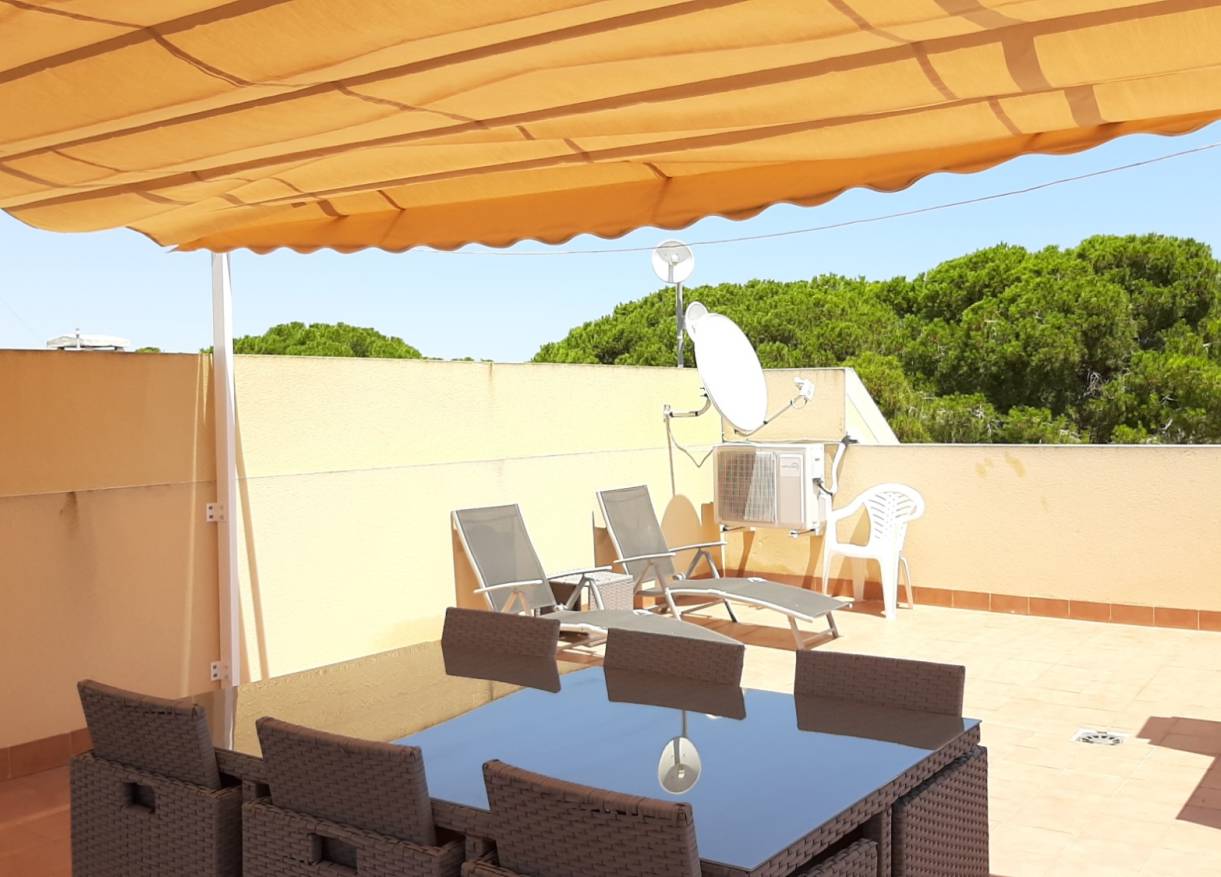 Vakantie verhuur - Appartement - La Mata - Rascasa La Mata