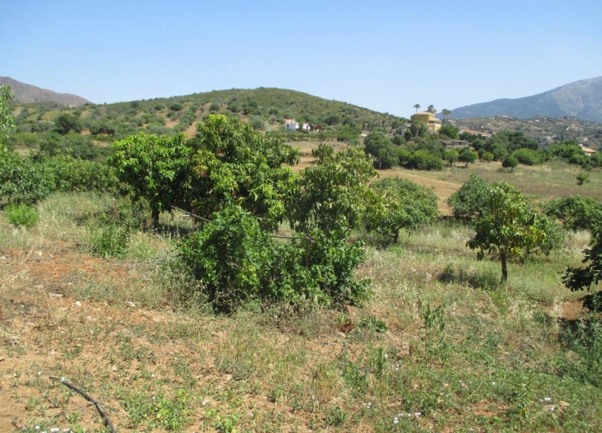 Bestaand - Finca - Mijas - Entrerrios