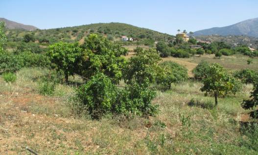 Bestaand - Finca - Mijas - Entrerrios