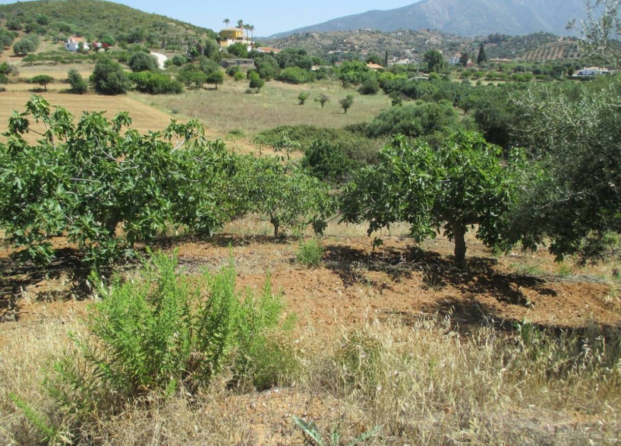 Bestaand - Finca - Mijas - Entrerrios