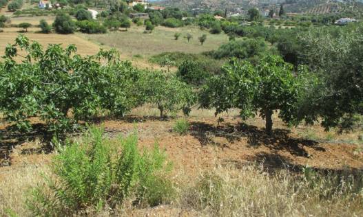 Bestaand - Finca - Mijas - Entrerrios