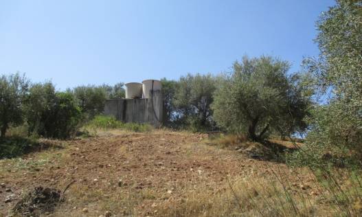 Bestaand - Finca - Mijas - Entrerrios