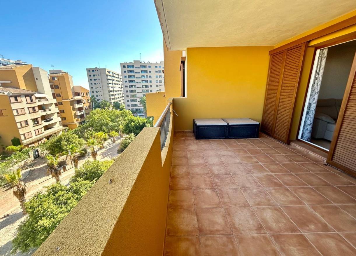 Bestaand - Appartement - Torrevieja