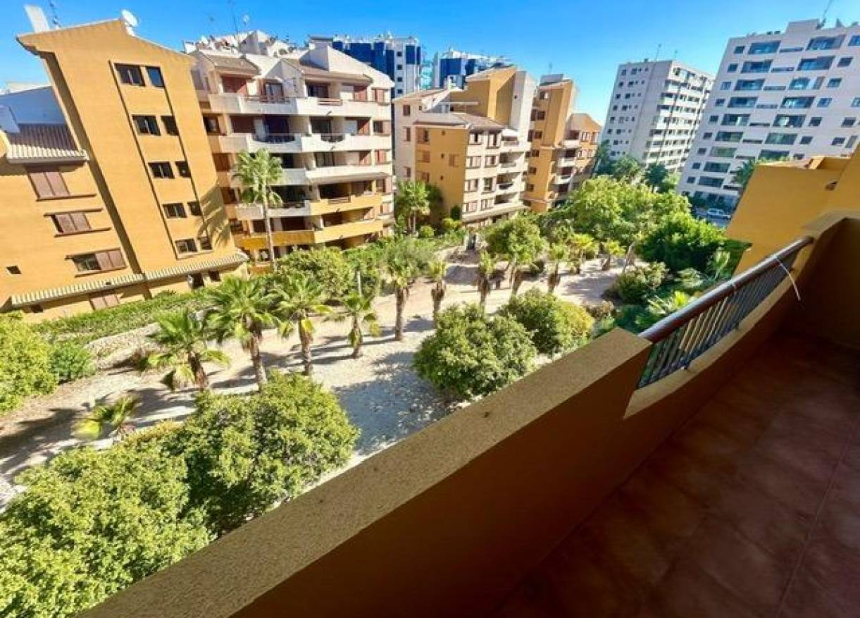 Bestaand - Appartement - Torrevieja