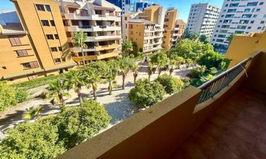 Bestaand - Appartement - Torrevieja