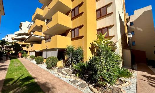 Bestaand - Appartement - Torrevieja