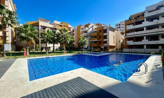 Bestaand - Appartement - Torrevieja