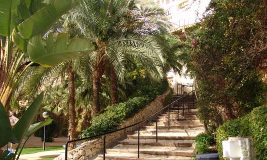 Lange tijd verhuur - Appartement - Altea - Zona de Mascarat