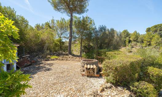 Bestaand - Finca - Jalón Valley - Jalón Vallei