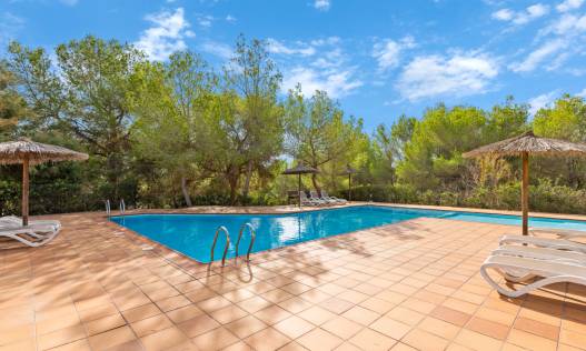 Bestaand - Appartement - Orihuela Costa - Las Colinas