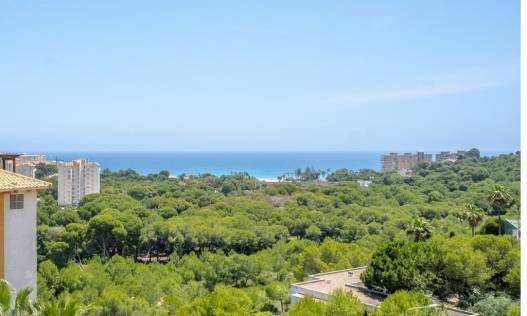 Bestaand - Penthouse - Orihuela Costa - Campoamor