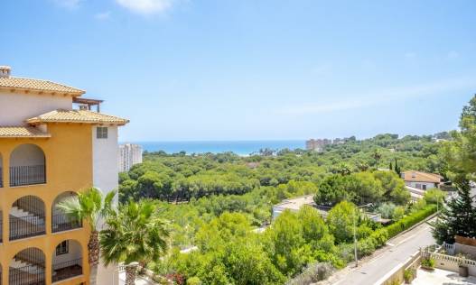 Bestaand - Penthouse - Orihuela Costa - Campoamor