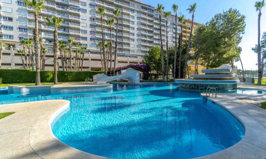 Bestaand - Appartement - Orihuela Costa - Campoamor