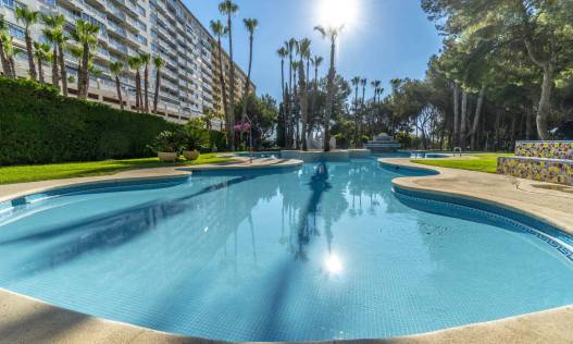 Bestaand - Appartement - Orihuela Costa - Campoamor