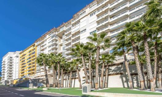 Bestaand - Appartement - Orihuela Costa - Campoamor