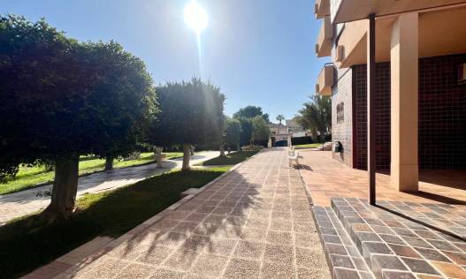 Bestaand - Appartement - Orihuela Costa - La Zenia