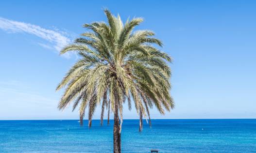 Bestaand - Villa - Jávea - Cala Blanca