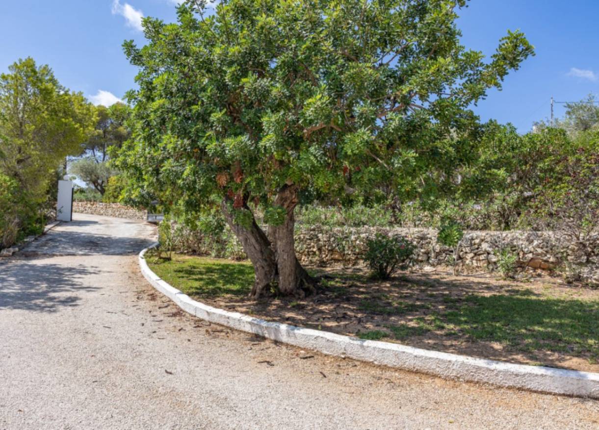 Bestaand - Finca - Jávea