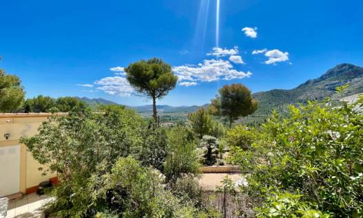 Bestaand - Finca - Jalón Valley - Jalón Vallei