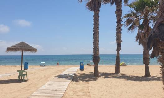 Vakantie verhuur - Appartement - La Mata - Rascasa La Mata