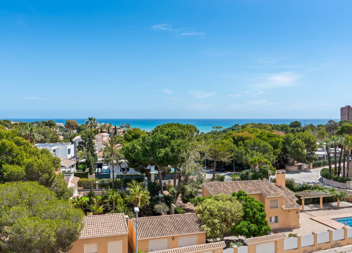 Bestaand - Appartement - Orihuela Costa - Campoamor