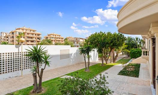 Bestaand - Appartement - Guardamar del segura