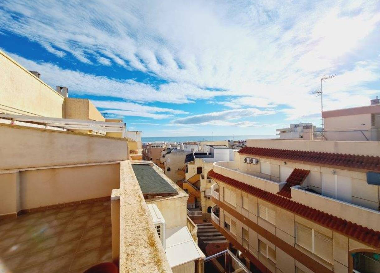 Bestaand - Penthouse - La Mata