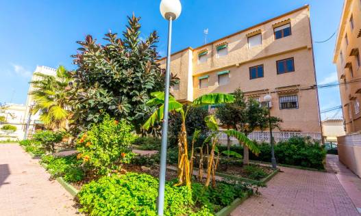 Bestaand - Appartement - Torrevieja - Los Europeos