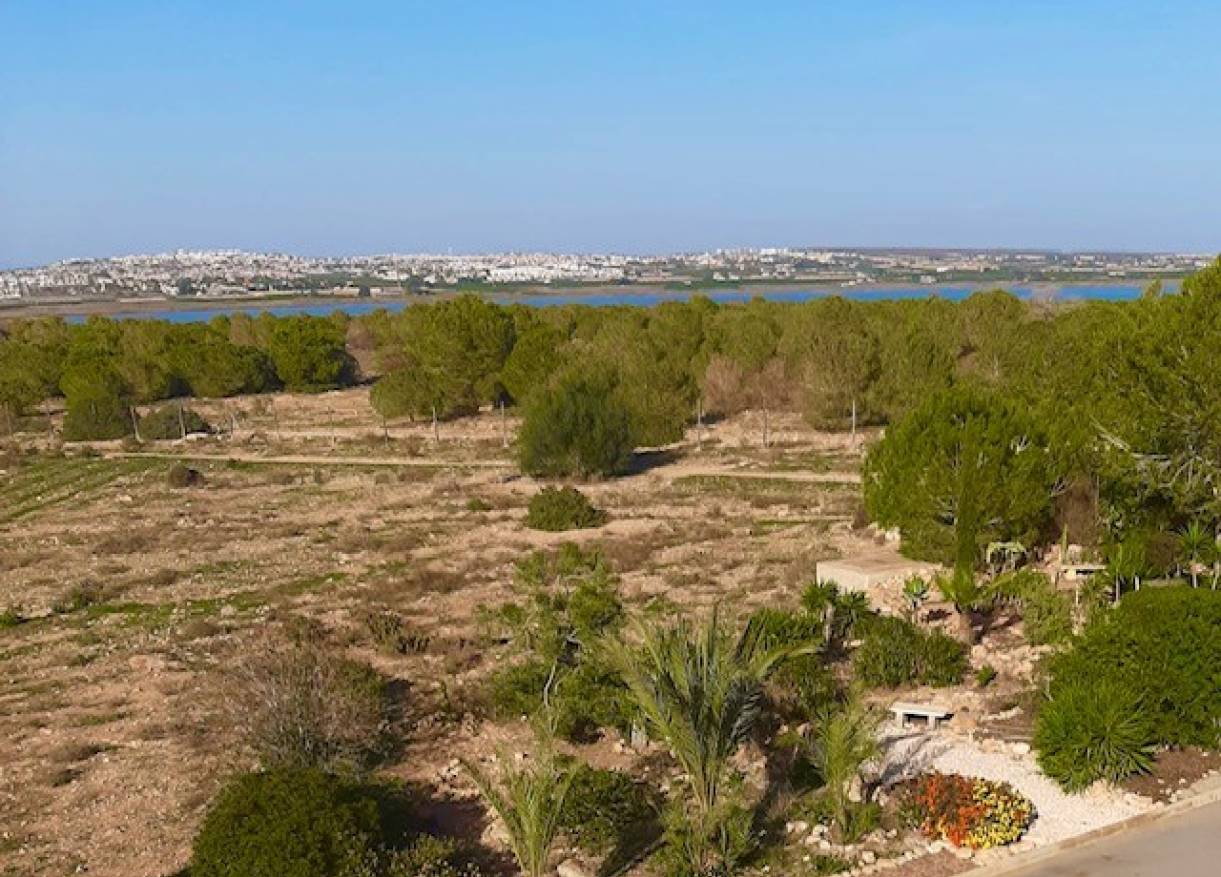 Vakantie verhuur - Appartement - Torrevieja