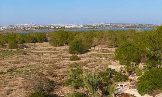 Vakantie verhuur - Appartement - Torrevieja