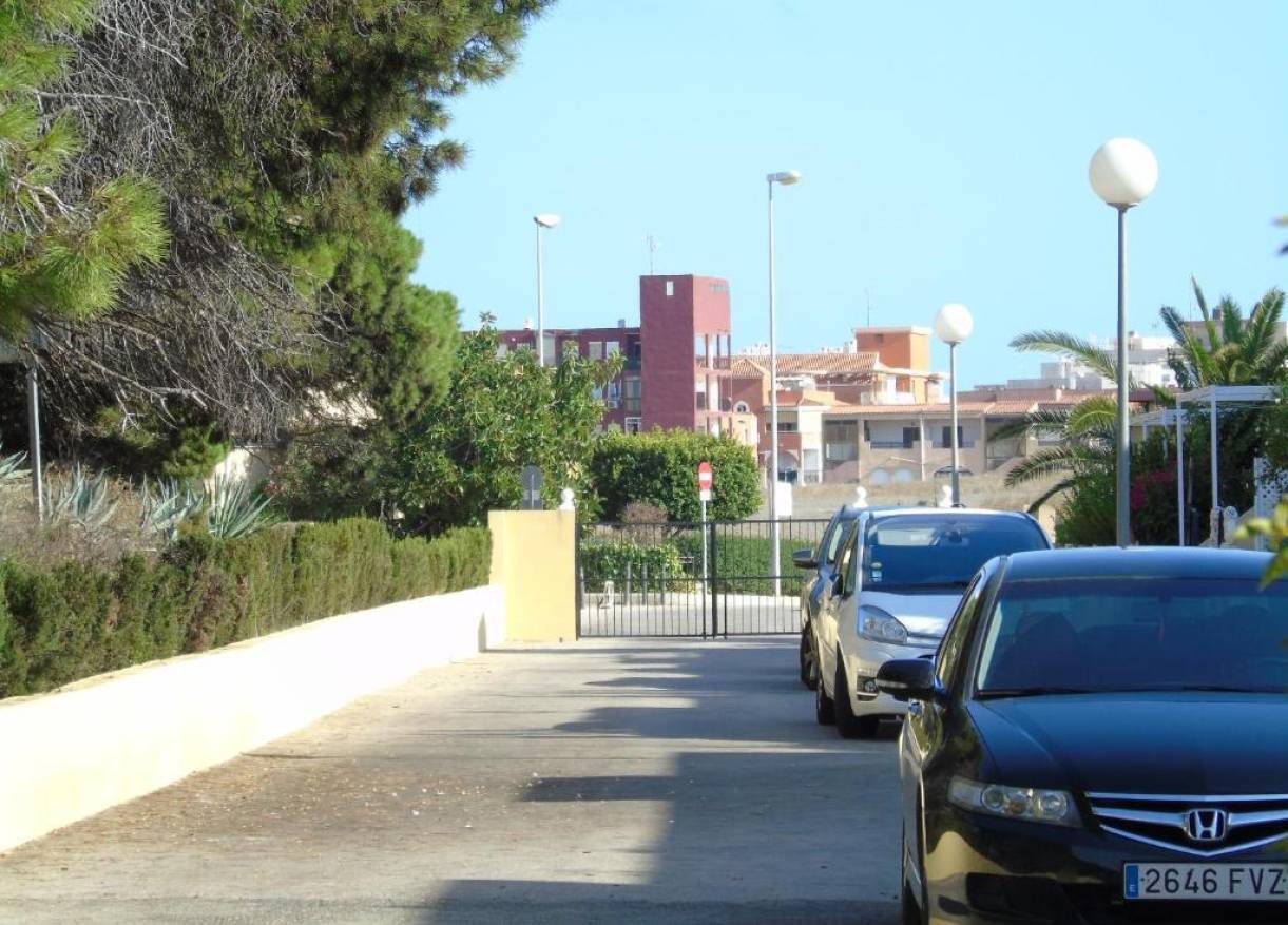 Vakantie verhuur - Appartement - La Mata - Rascasa La Mata