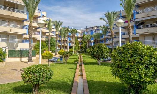 Bestaand - Penthouse - Orihuela Costa - Cabo Roig