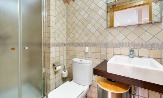 Bestaand - Penthouse - Torrevieja