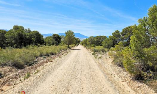 Bestaand - Villa - Jumilla