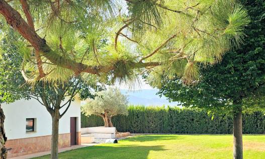 Bestaand - Finca - Yecla