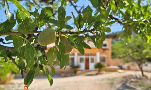 Bestaand - Villa - La Zarza