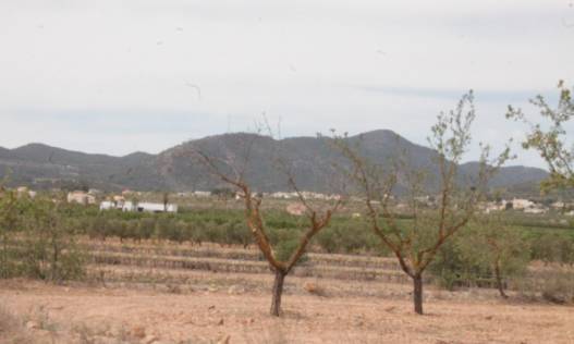 Bestaand - Finca - Raspay