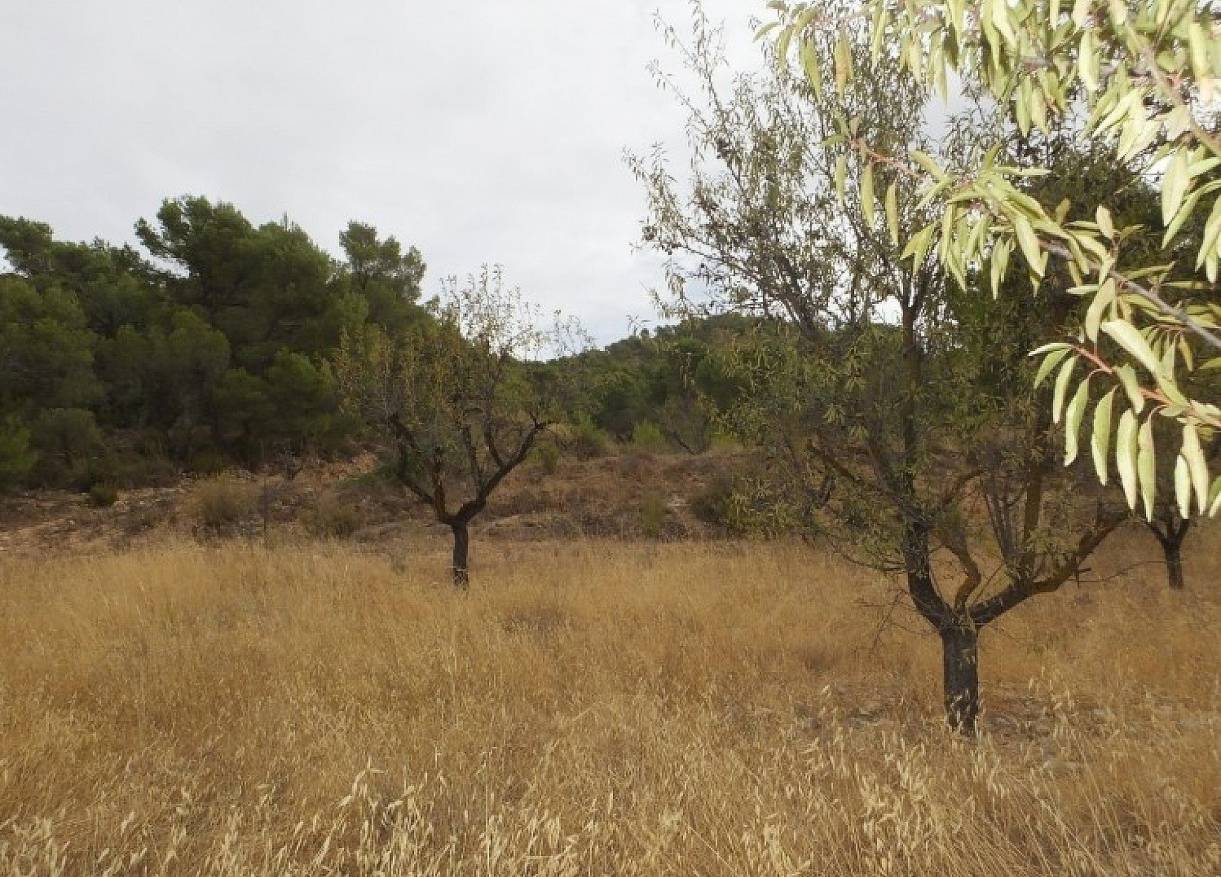 Bestaand - Villa - La Zarza