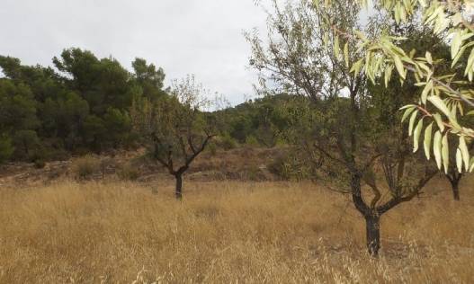 Bestaand - Villa - La Zarza
