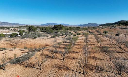 Bestaand - Villa - La Zarza