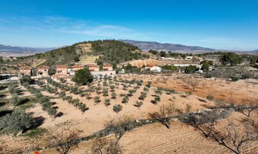 Bestaand - Villa - La Zarza