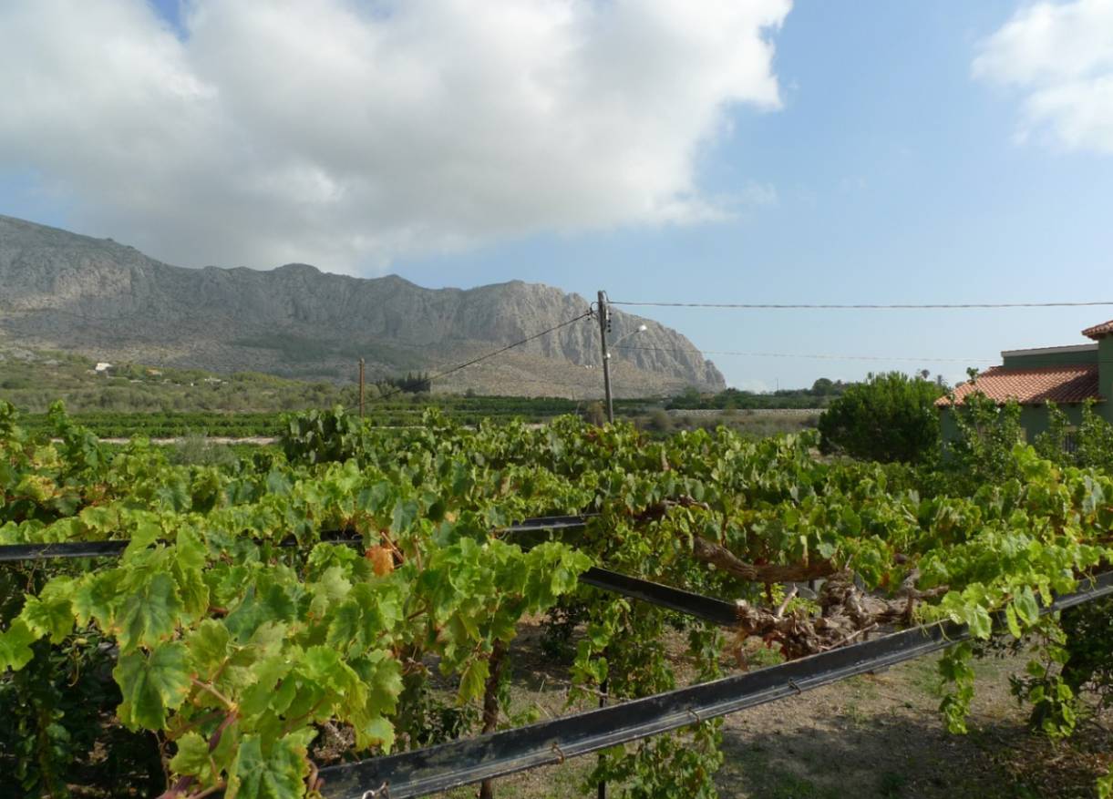 Bestaand - Finca - Orba Valley - Orba Vallei