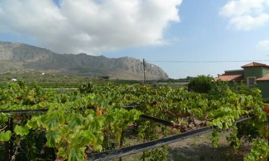 Bestaand - Finca - Orba Valley - Orba Vallei