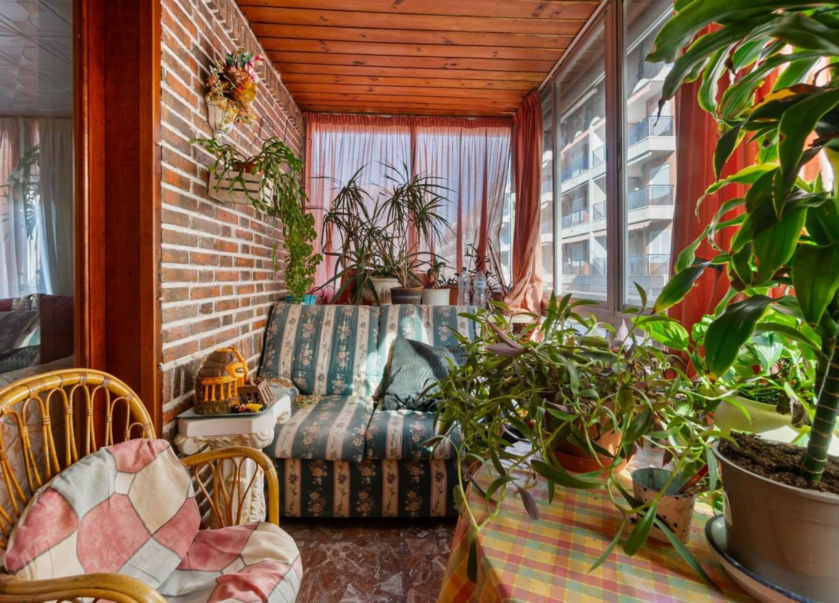Bestaand - Appartement - Torrevieja
