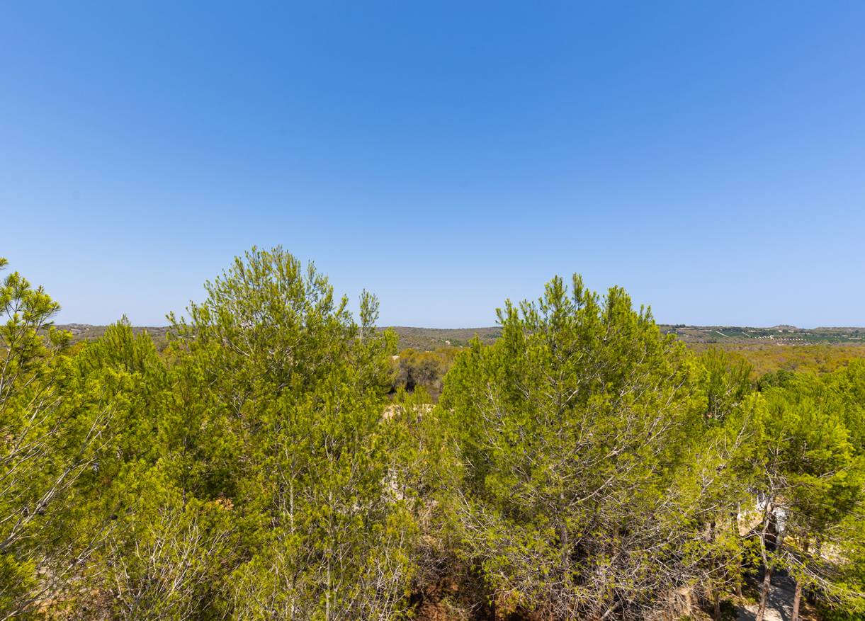 Bestaand - Penthouse - Orihuela Costa