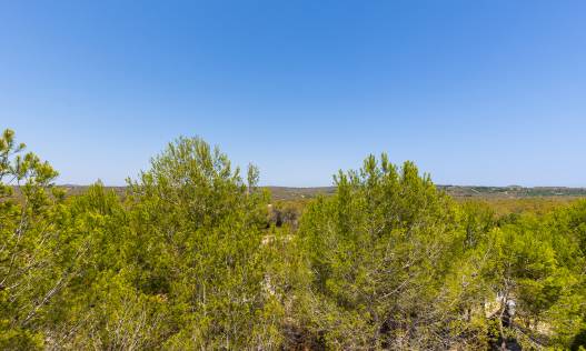 Bestaand - Penthouse - Orihuela Costa