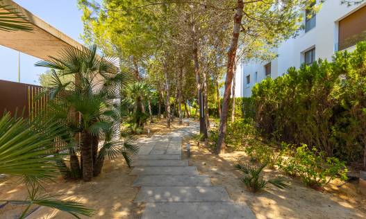 Bestaand - Penthouse - Orihuela Costa