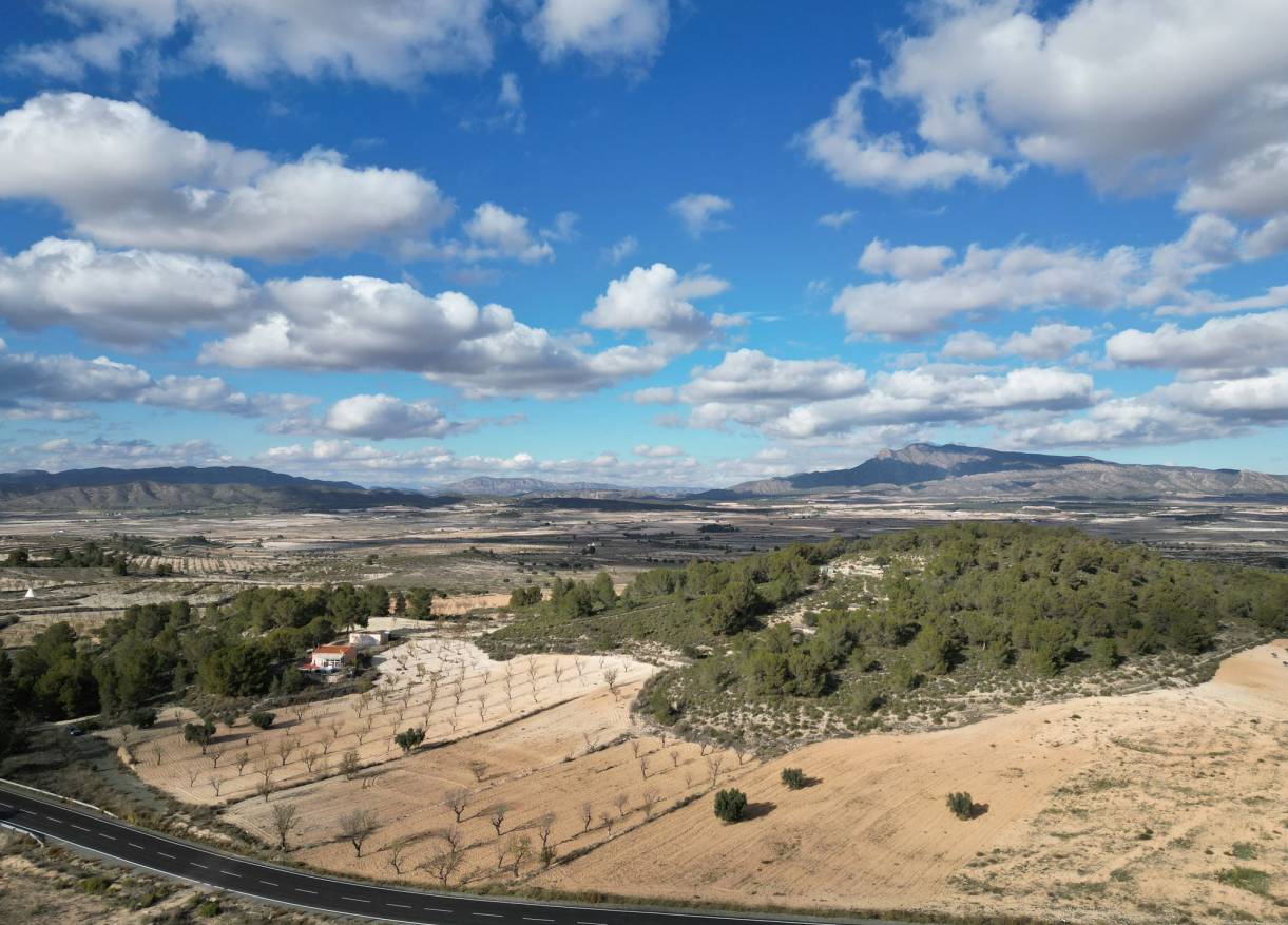 Bestaand - Bouwperceel - La Zarza