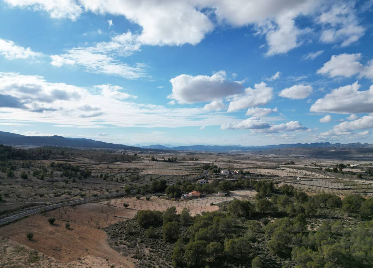 Bestaand - Bouwperceel - La Zarza